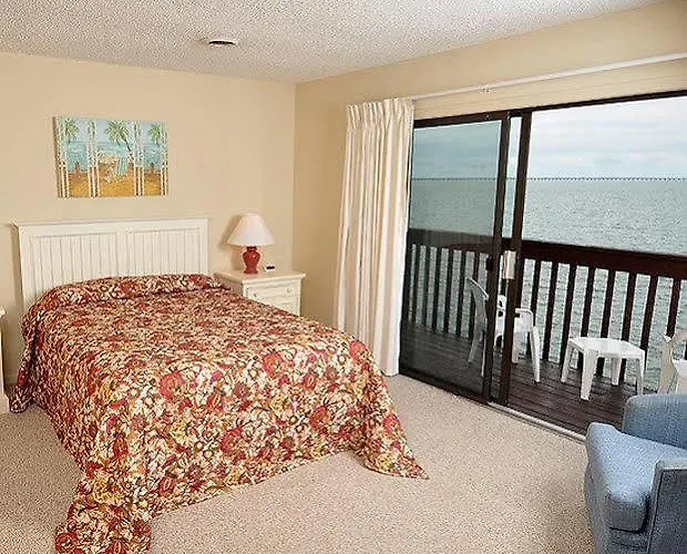 Hotel Ocean High
